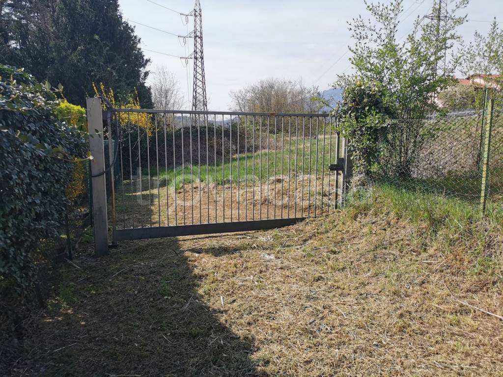 immagine annuncio 9 di 11