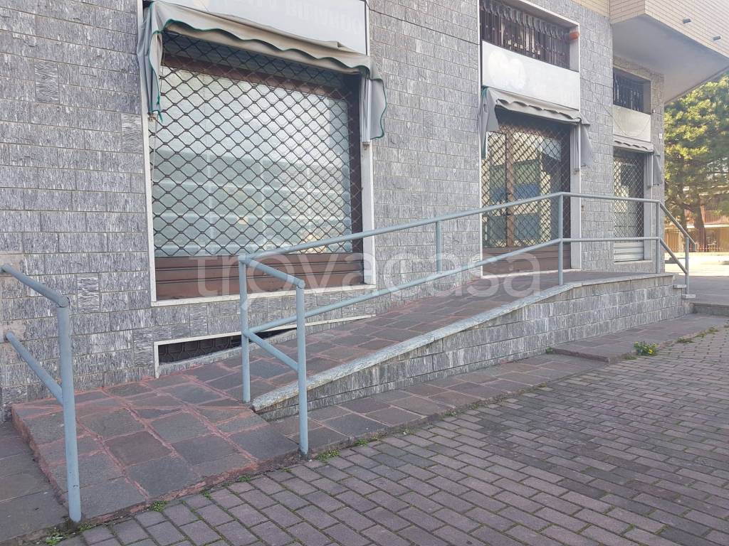 immagine annuncio 2 di 12