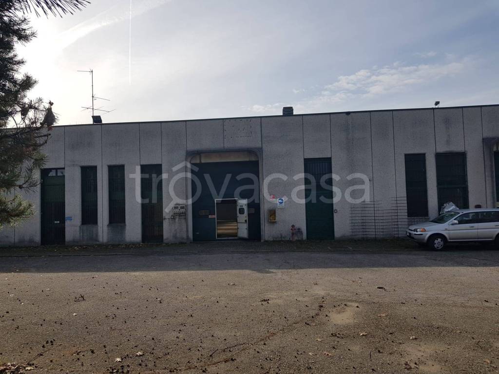 immagine annuncio 11 di 15