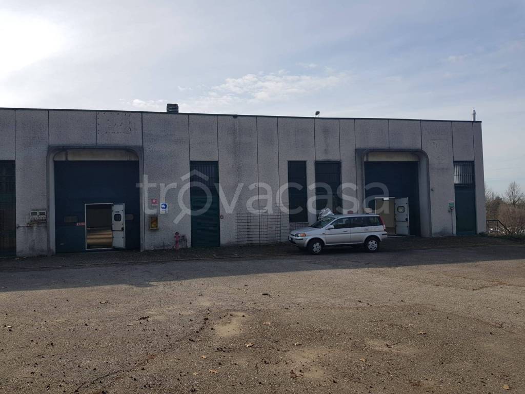 immagine annuncio 12 di 15