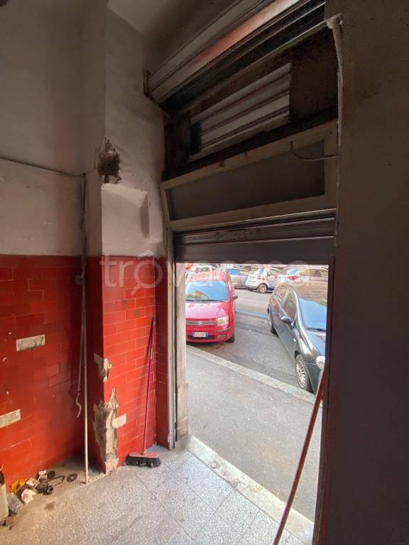 immagine annuncio 5 di 7