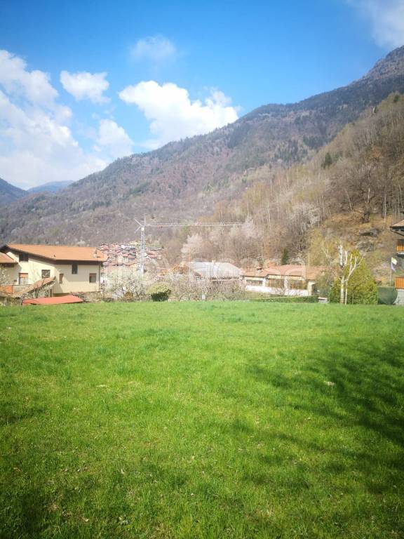 immagine annuncio 2 di 6