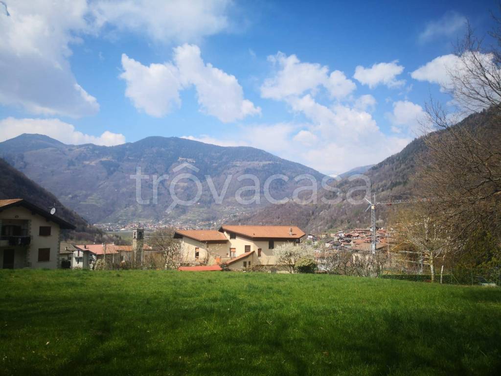 immagine annuncio 1 di 6