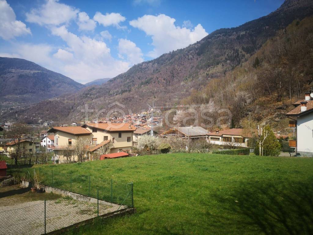 immagine annuncio 3 di 6
