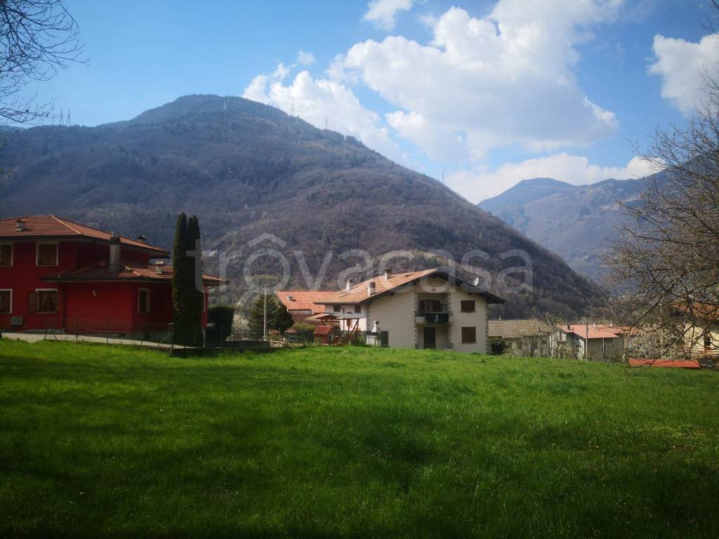 immagine annuncio 5 di 6