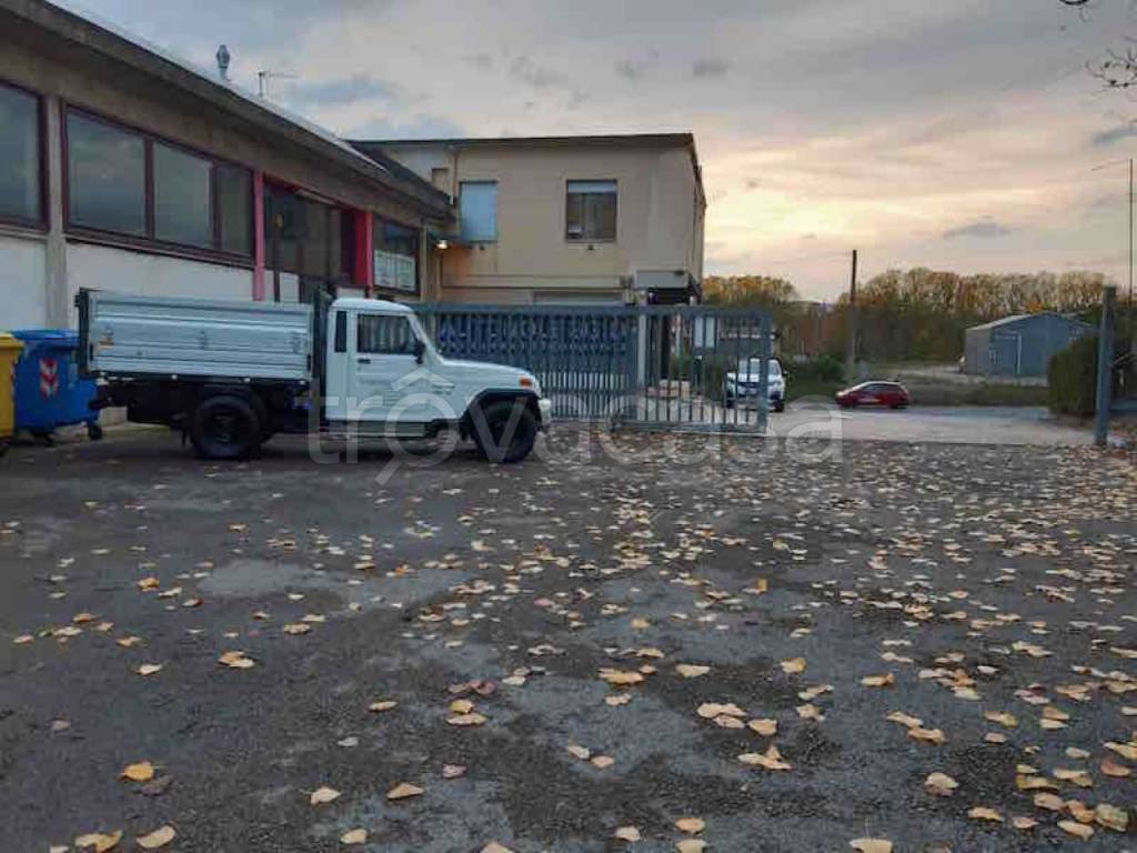 immagine annuncio 6 di 15