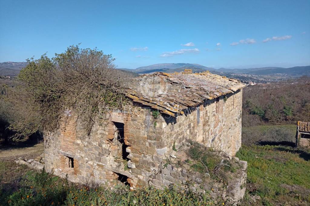 immagine annuncio 4 di 12