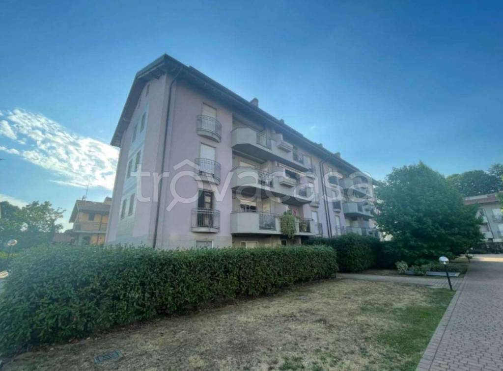 immagine annuncio 1 di 12