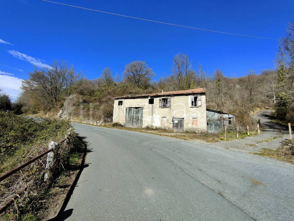 immagine annuncio 5 di 13