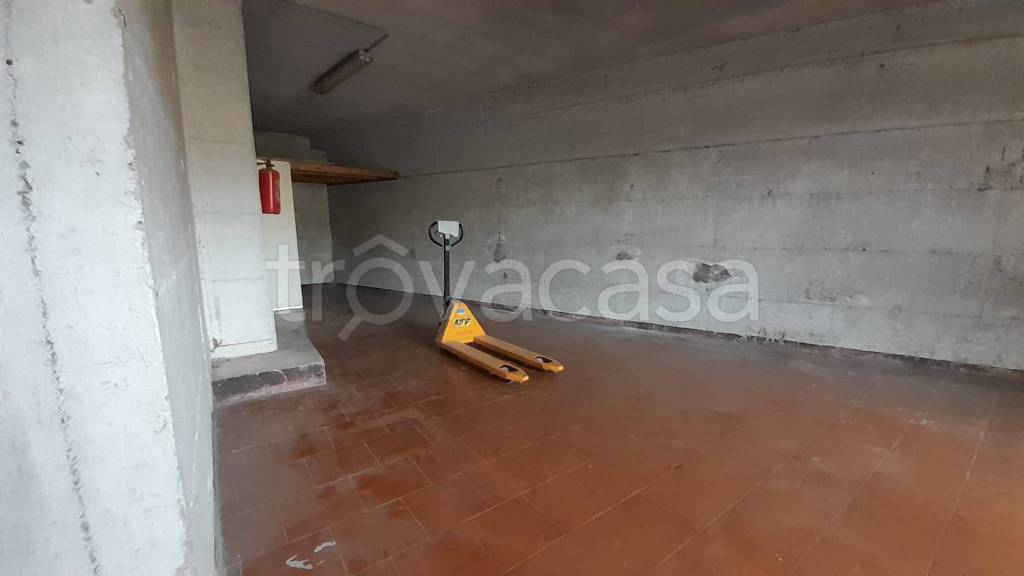 immagine annuncio 9 di 14