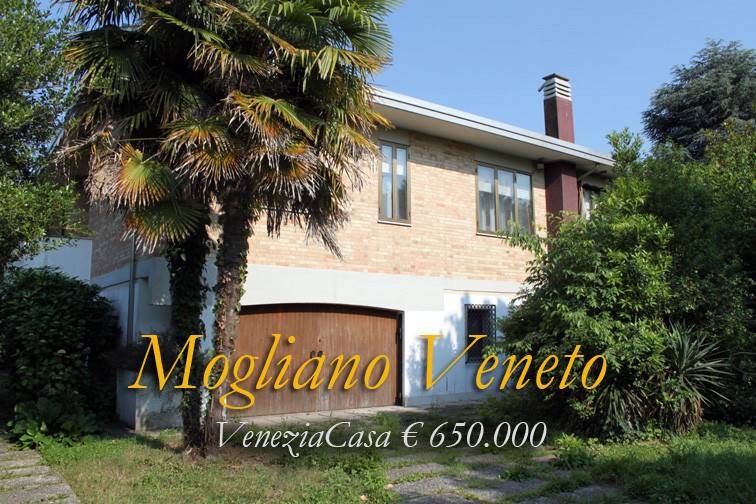 Villa Bifamiliare in vendita a Mogliano Veneto verdi