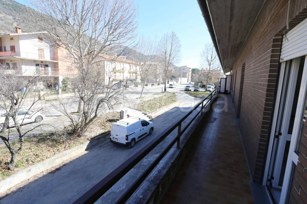 immagine annuncio 4 di 12