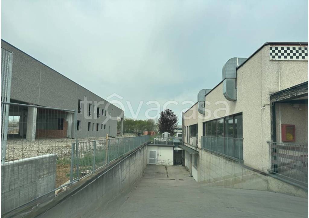 immagine annuncio 9 di 10