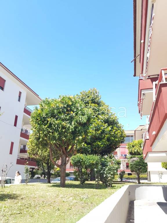 Appartamento in vendita a Somma Vesuviana via Tavani, 31