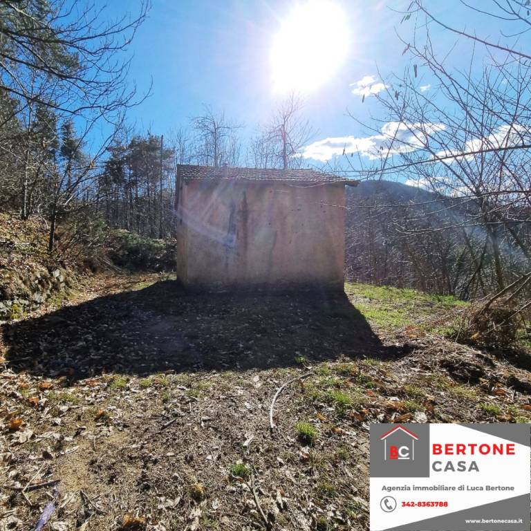 immagine annuncio 3 di 11