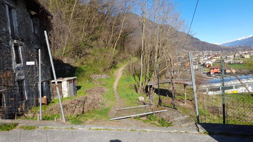 immagine annuncio 4 di 6
