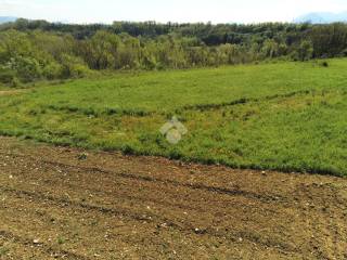 Terreno agricolo in vendita a roccasecca via ortella