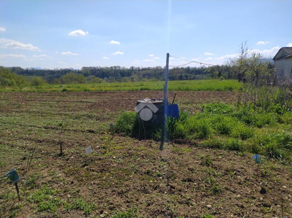 immagine annuncio 1 di 12