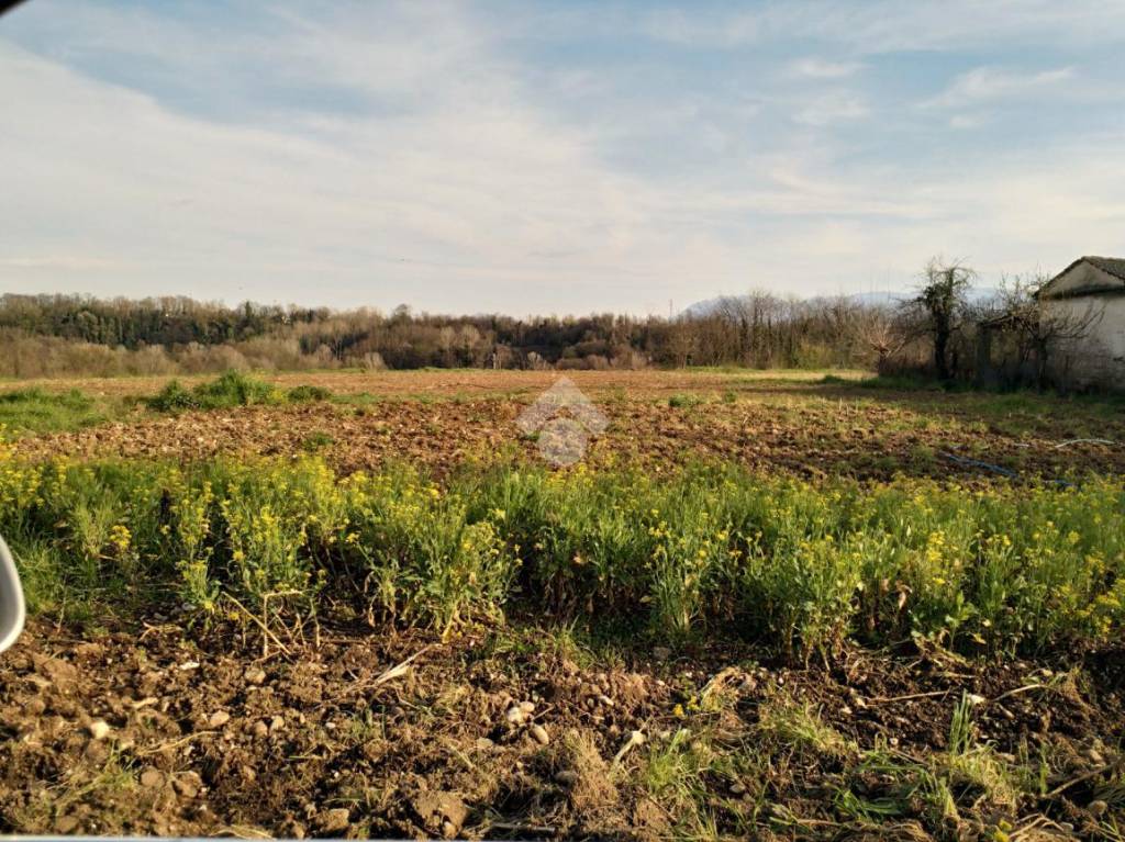 immagine annuncio 2 di 12