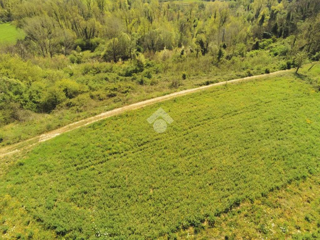 immagine annuncio 3 di 12