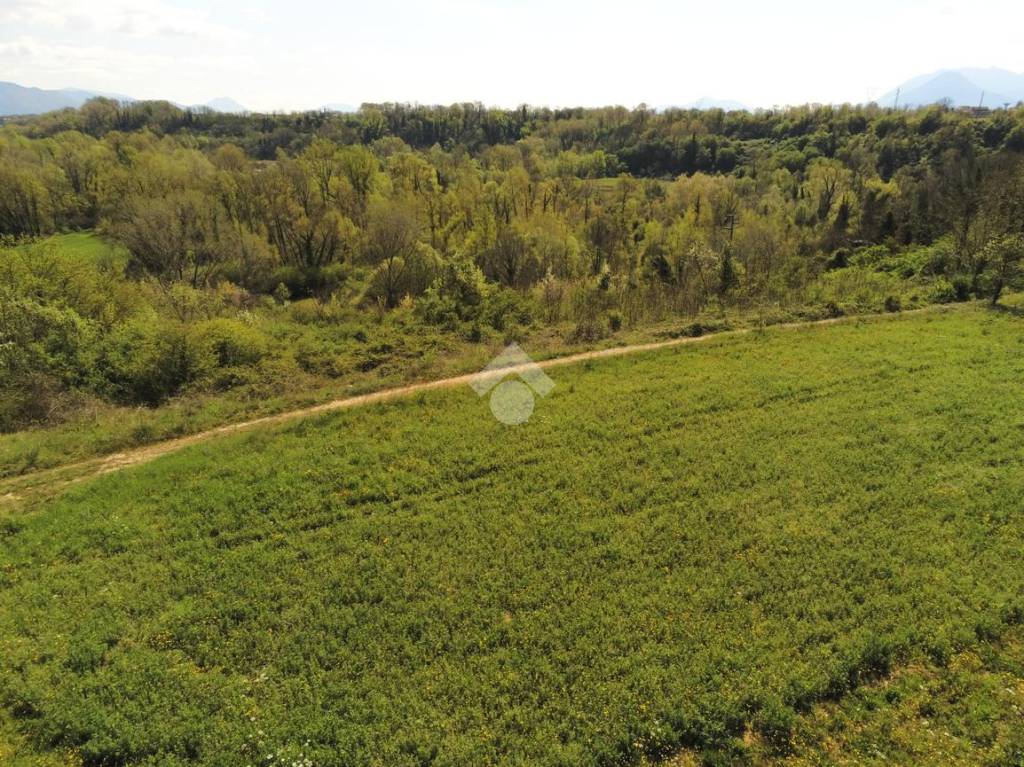 immagine annuncio 4 di 12