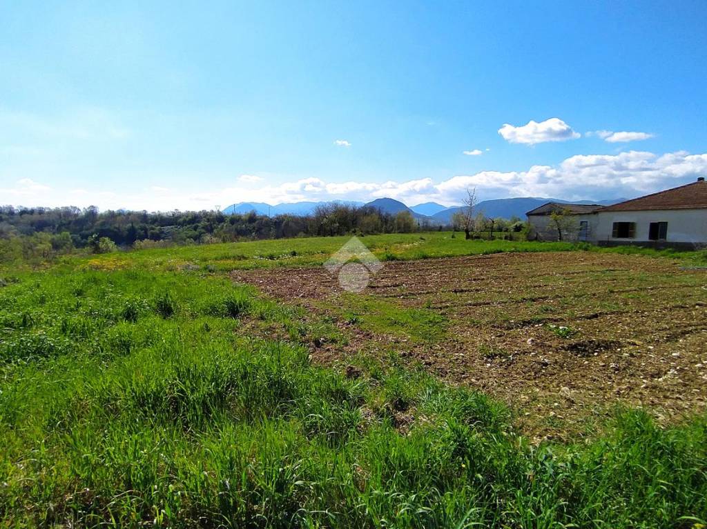 immagine annuncio 5 di 12