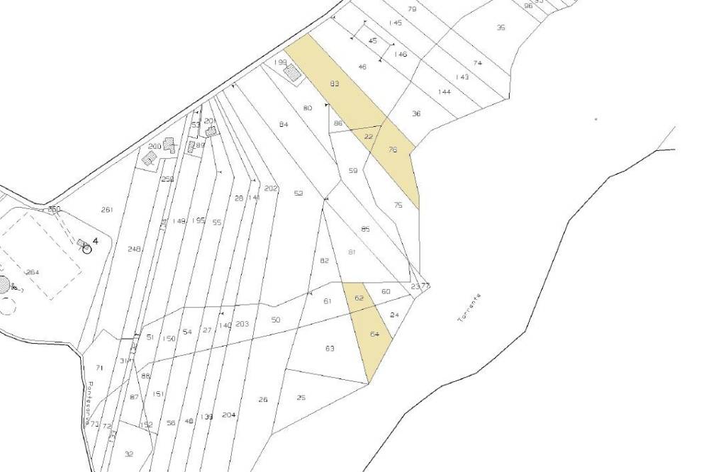 immagine annuncio 10 di 12