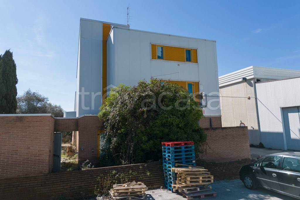 immagine annuncio 10 di 15