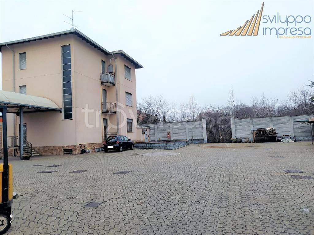 immagine annuncio 6 di 15