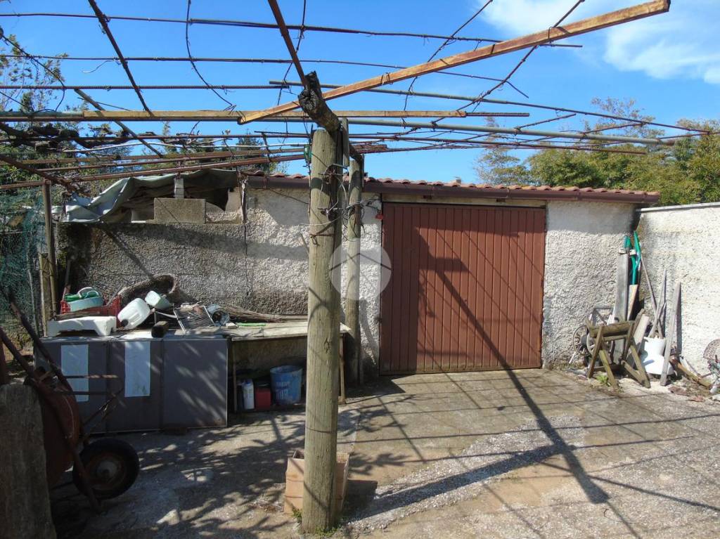 immagine annuncio 2 di 13