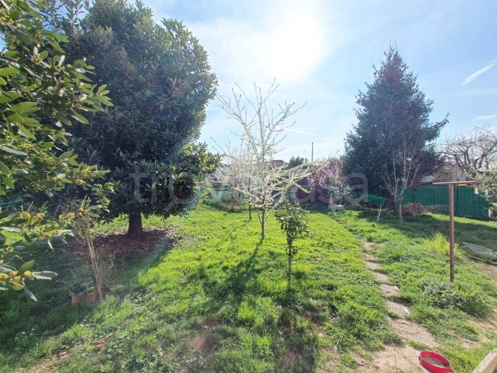 immagine annuncio 3 di 12