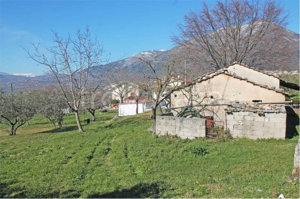 immagine annuncio 2 di 8