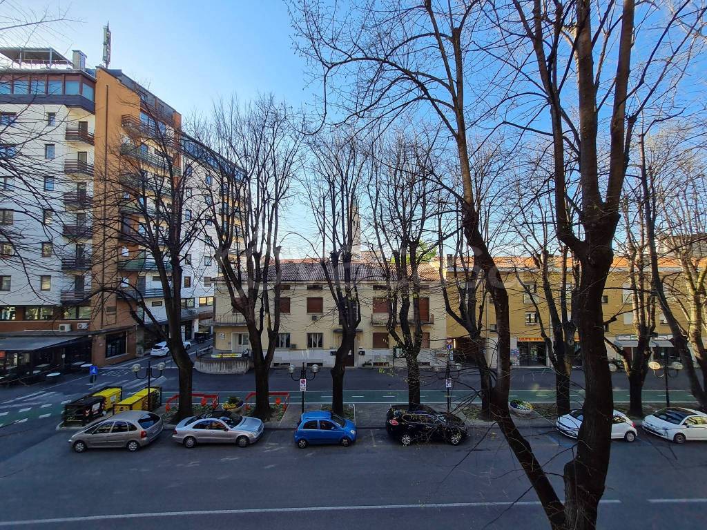 immagine annuncio 5 di 13