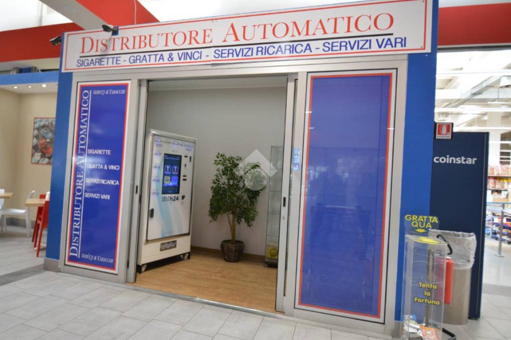 immagine annuncio 2 di 7