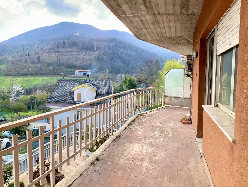 immagine annuncio 3 di 14