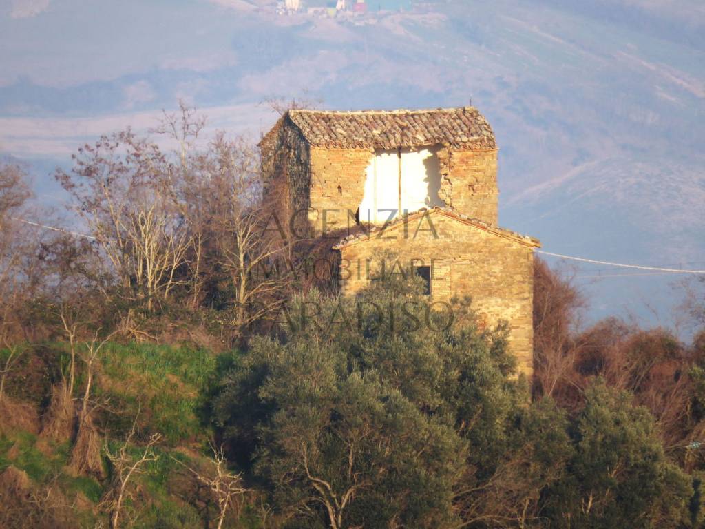 immagine annuncio 9 di 11