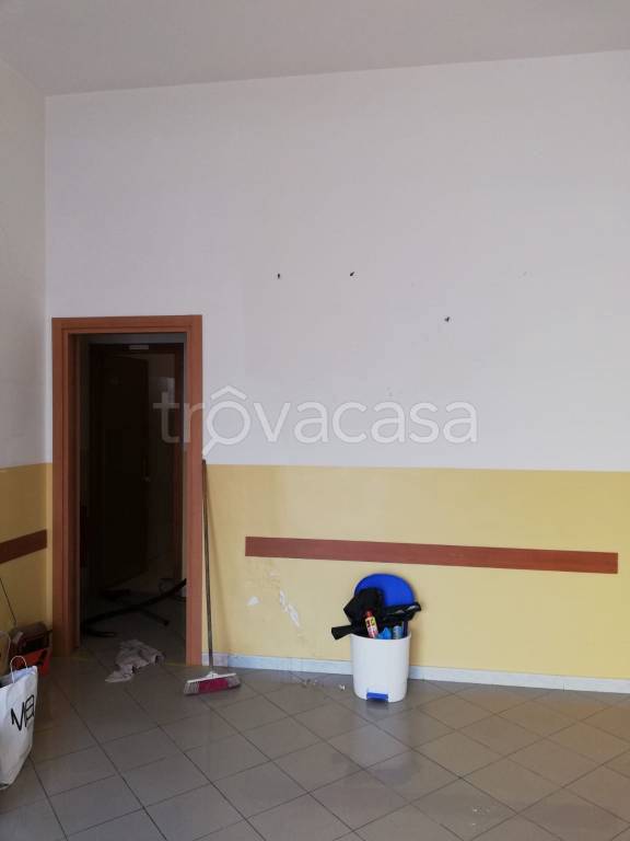 immagine annuncio 5 di 14