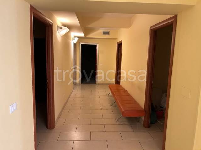 immagine annuncio 7 di 14