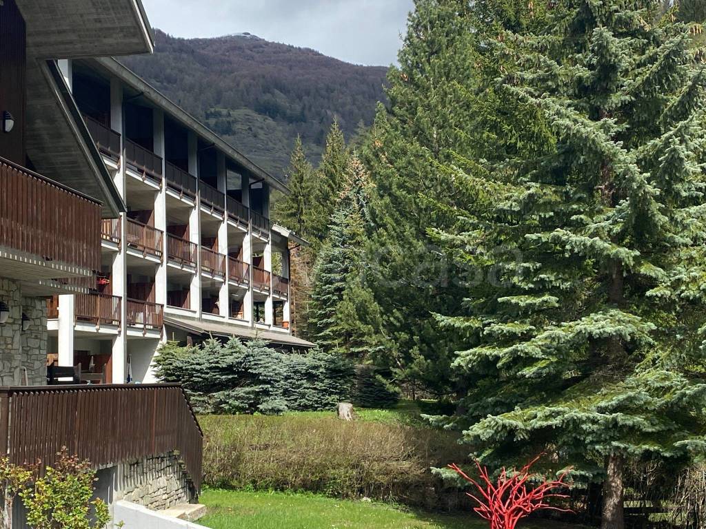 immagine annuncio 7 di 12