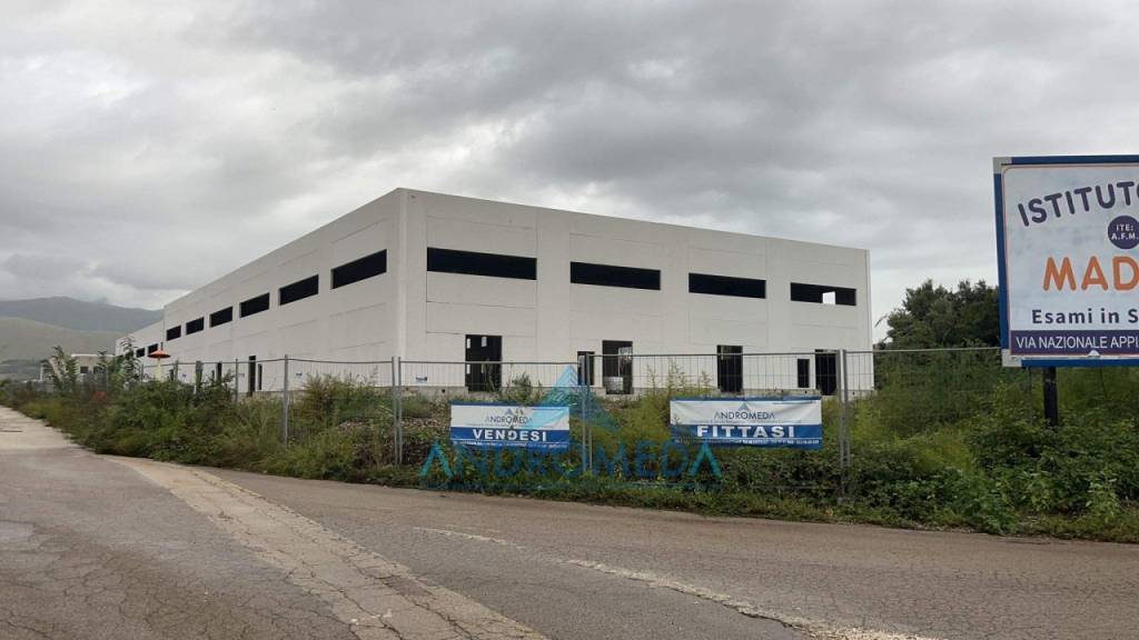 immagine annuncio 1 di 7