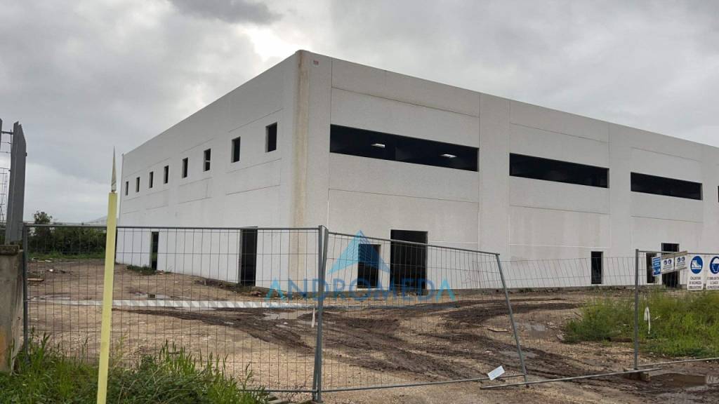 immagine annuncio 2 di 7