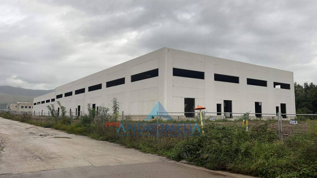 immagine annuncio 3 di 7