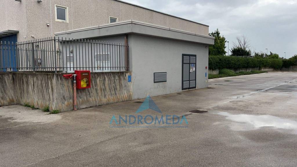 immagine annuncio 4 di 7