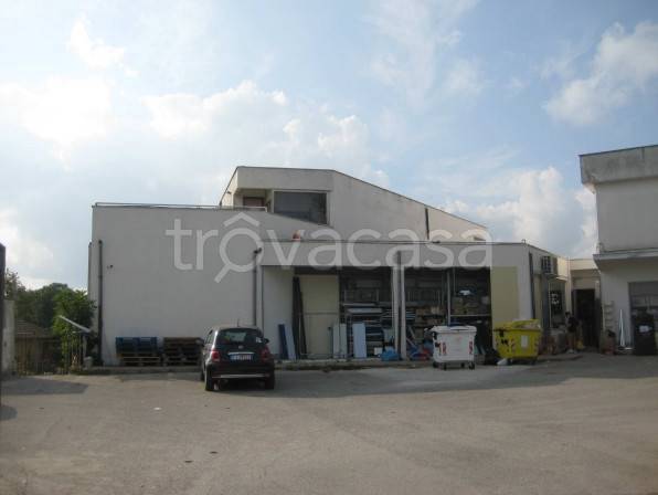 immagine annuncio 1 di 4