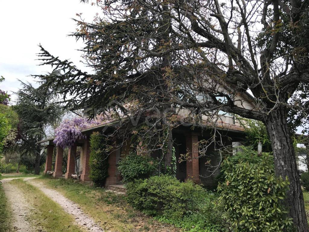 Colonica in in vendita da privato a Cesena via Pinerolo, 351