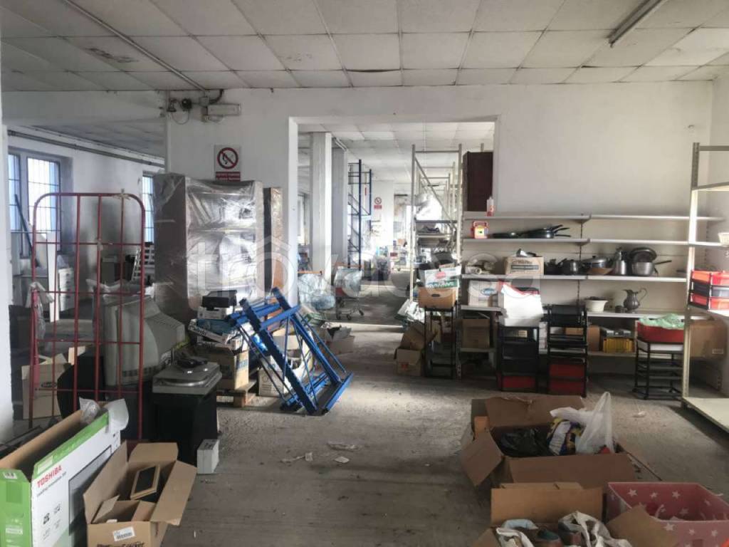 immagine annuncio 9 di 15