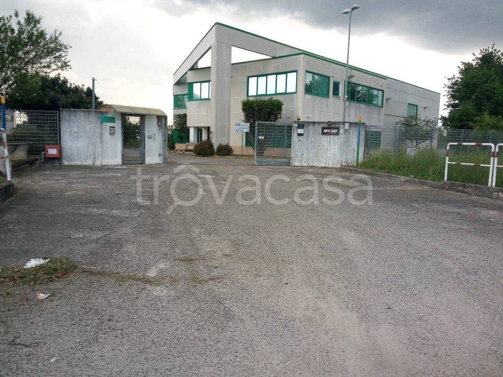 Capannone Industriale in affitto a Frosinone via Armando Vona, 10