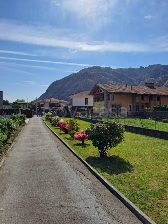 immagine annuncio 7 di 12