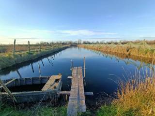 Terreno agricolo in affitto a comacchio strada capodistria, 3