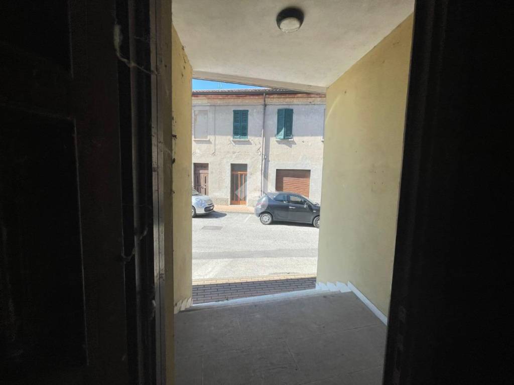 immagine annuncio 4 di 14